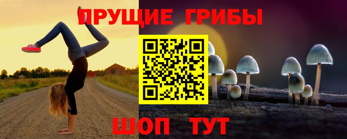 Елабуга  Псилоцибиновые грибы ЛСД  Вход с VPN 